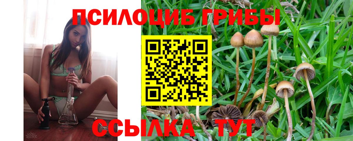 Галлюциногенные грибы мицелий  Вход с VPN  Сальск 